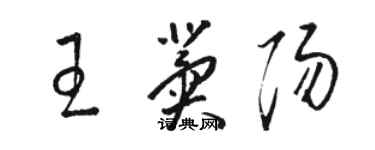 駱恆光王冀陽草書個性簽名怎么寫