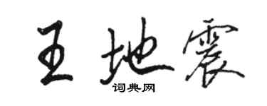 駱恆光王地震行書個性簽名怎么寫