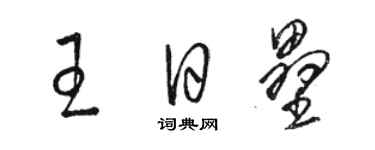 駱恆光王日壘草書個性簽名怎么寫