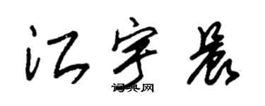 朱錫榮江宇晨草書個性簽名怎么寫