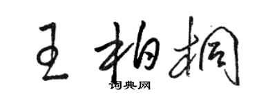 駱恆光王柏桐草書個性簽名怎么寫
