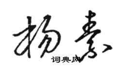 駱恆光楊素草書個性簽名怎么寫
