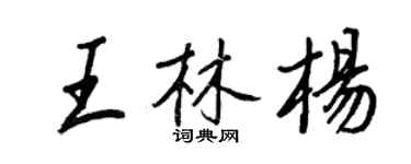 王正良王林楊行書個性簽名怎么寫