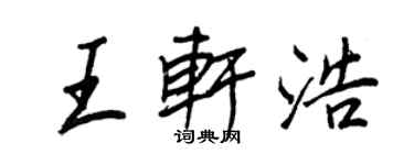 王正良王軒浩行書個性簽名怎么寫