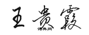 駱恆光王貴霞行書個性簽名怎么寫