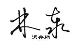 駱恆光林泰草書個性簽名怎么寫