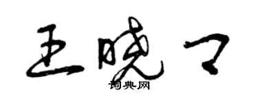 曾慶福王曉卿草書個性簽名怎么寫