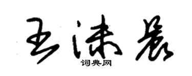 朱錫榮王沫晨草書個性簽名怎么寫