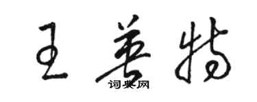 駱恆光王英特草書個性簽名怎么寫