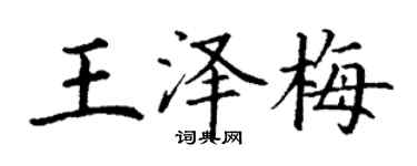 丁謙王澤梅楷書個性簽名怎么寫