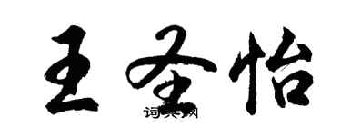 胡問遂王聖怡行書個性簽名怎么寫