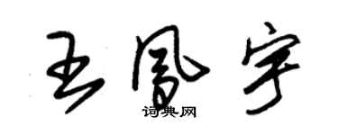 朱錫榮王鳳宇草書個性簽名怎么寫
