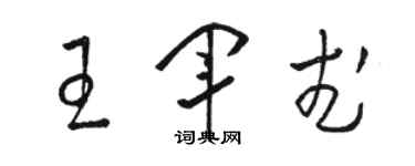 駱恆光王軍武草書個性簽名怎么寫