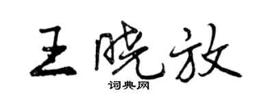 曾慶福王曉放行書個性簽名怎么寫