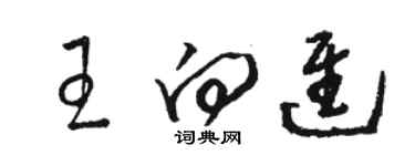 駱恆光王向進草書個性簽名怎么寫