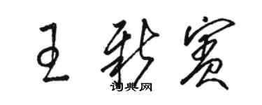 駱恆光王新賓草書個性簽名怎么寫