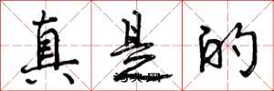 曾慶福真是的行書怎么寫