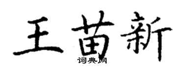 丁謙王苗新楷書個性簽名怎么寫