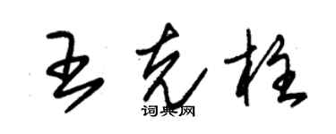 朱錫榮王克柱草書個性簽名怎么寫