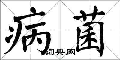 翁闓運病菌楷書怎么寫