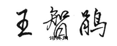 駱恆光王智鵑行書個性簽名怎么寫