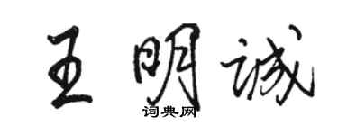 駱恆光王明誠行書個性簽名怎么寫