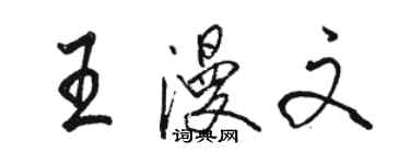 駱恆光王漫文行書個性簽名怎么寫