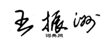 朱錫榮王振洲草書個性簽名怎么寫