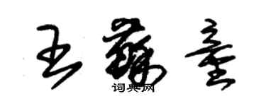 朱錫榮王蘇童草書個性簽名怎么寫