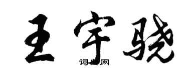 胡問遂王宇驍行書個性簽名怎么寫