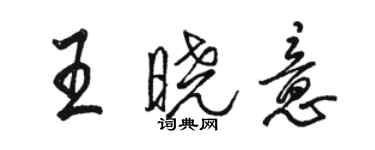 駱恆光王曉意行書個性簽名怎么寫