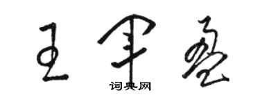 駱恆光王軍盈草書個性簽名怎么寫