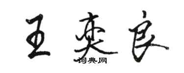 駱恆光王奕良行書個性簽名怎么寫