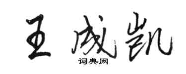 駱恆光王成凱行書個性簽名怎么寫