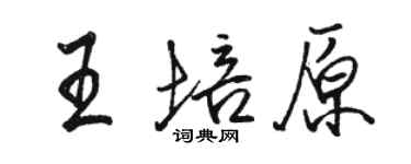 駱恆光王培原行書個性簽名怎么寫