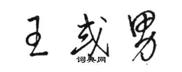 駱恆光王或男草書個性簽名怎么寫