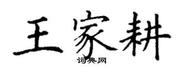 丁謙王家耕楷書個性簽名怎么寫