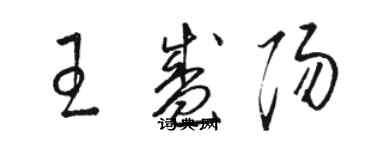 駱恆光王盛陽草書個性簽名怎么寫