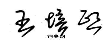朱錫榮王培熙草書個性簽名怎么寫