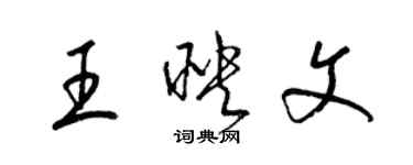 梁錦英王映文草書個性簽名怎么寫