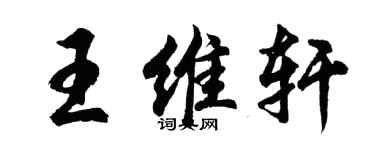 胡問遂王維軒行書個性簽名怎么寫