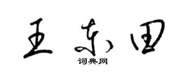 梁錦英王東田草書個性簽名怎么寫