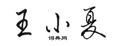 駱恆光王小夏行書個性簽名怎么寫