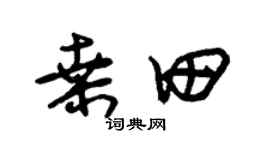朱錫榮桑田草書個性簽名怎么寫