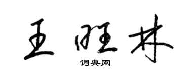 梁錦英王旺林草書個性簽名怎么寫