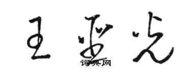 駱恆光王聖光草書個性簽名怎么寫