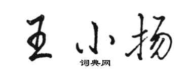 駱恆光王小揚行書個性簽名怎么寫