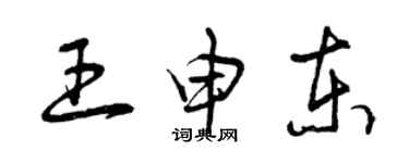 曾慶福王申東草書個性簽名怎么寫