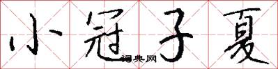 小冠子夏怎么寫好看