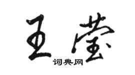 駱恆光王瑩行書個性簽名怎么寫